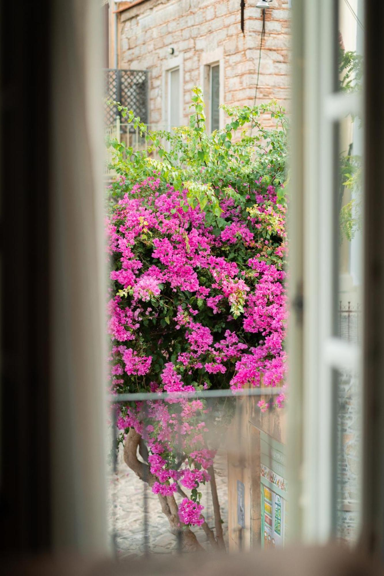 My Volissos Apartments Ngoại thất bức ảnh